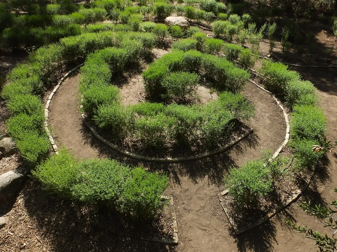 Centennial Maze