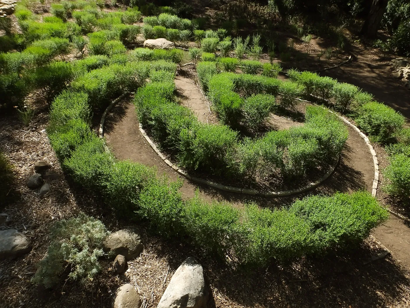 Centennial Maze