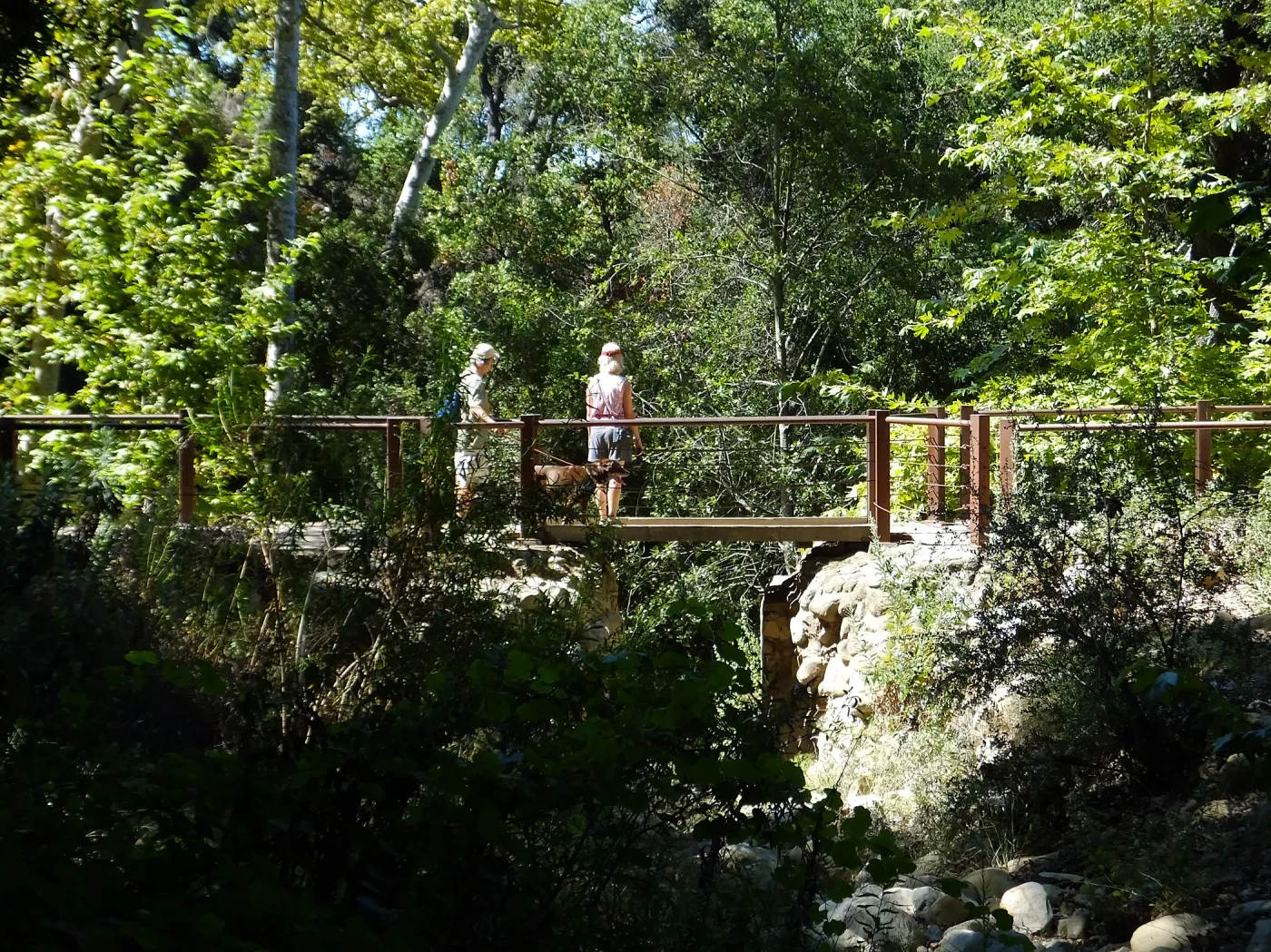 Trails n Tails 2015