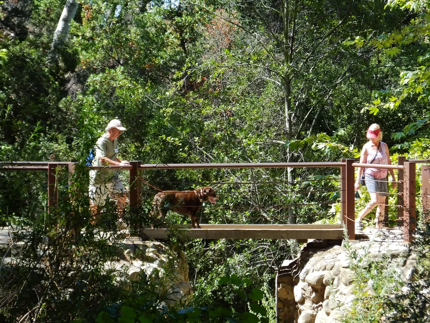 Trails n Tails 2015