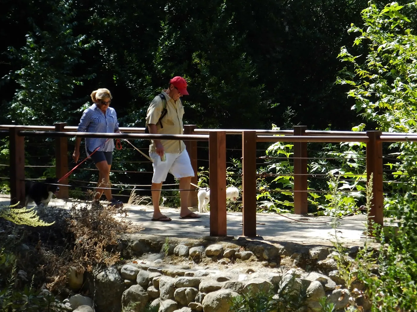 Trails n Tails 2015