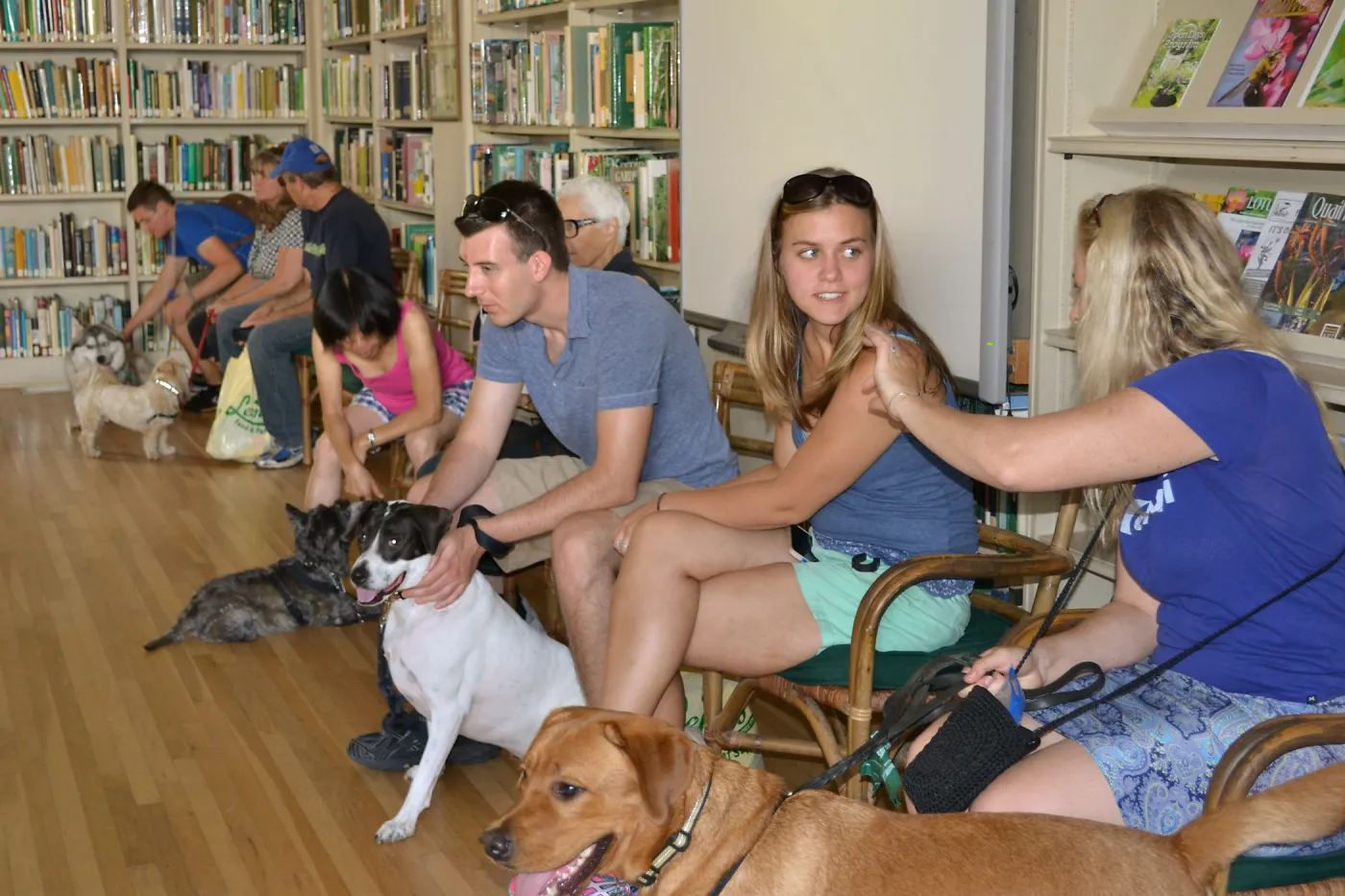 Trails n Tails 2015, dog obedience training demo