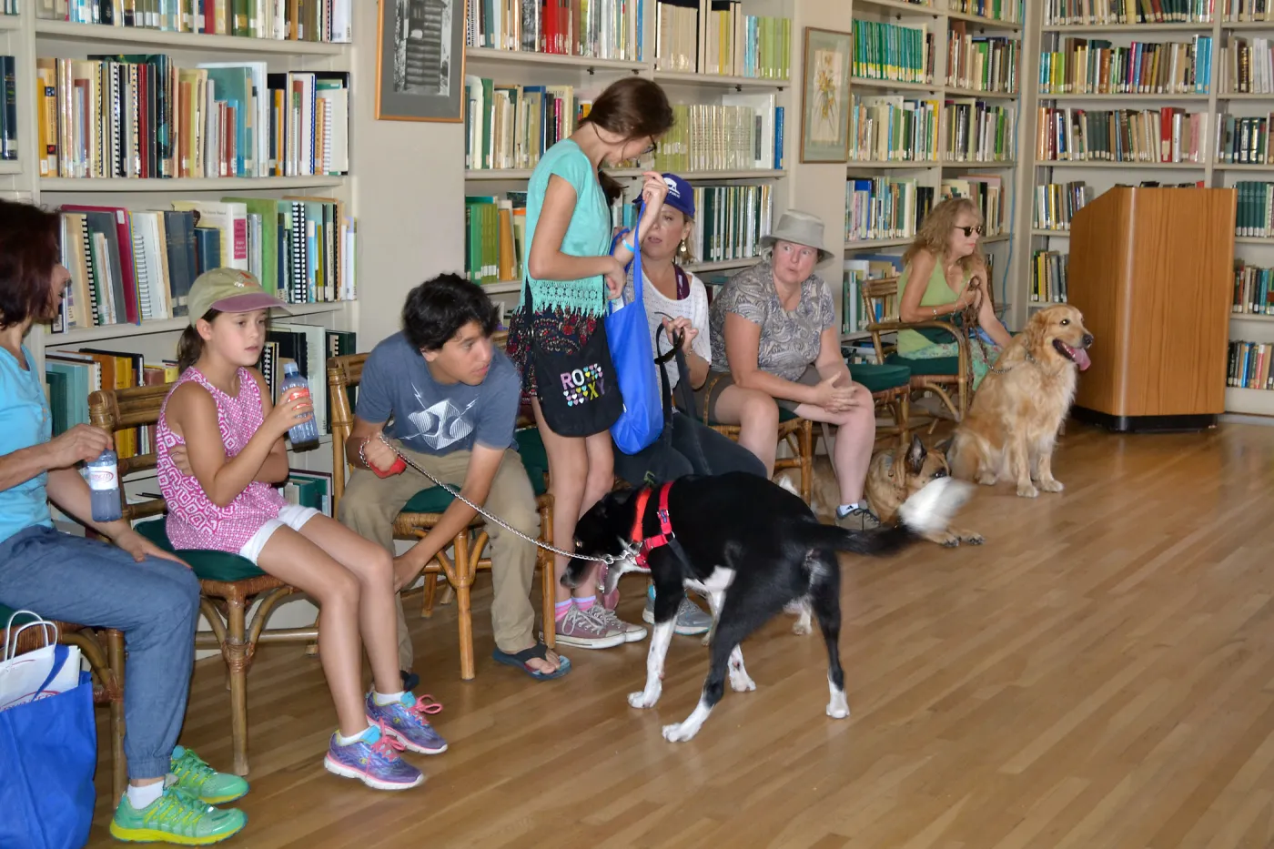 Trails n Tails 2015, dog obedience training demo