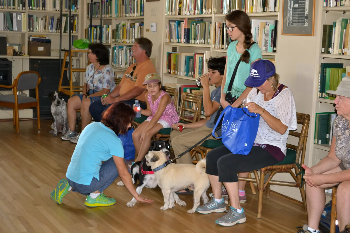 Trails n Tails 2015, dog obedience training demo