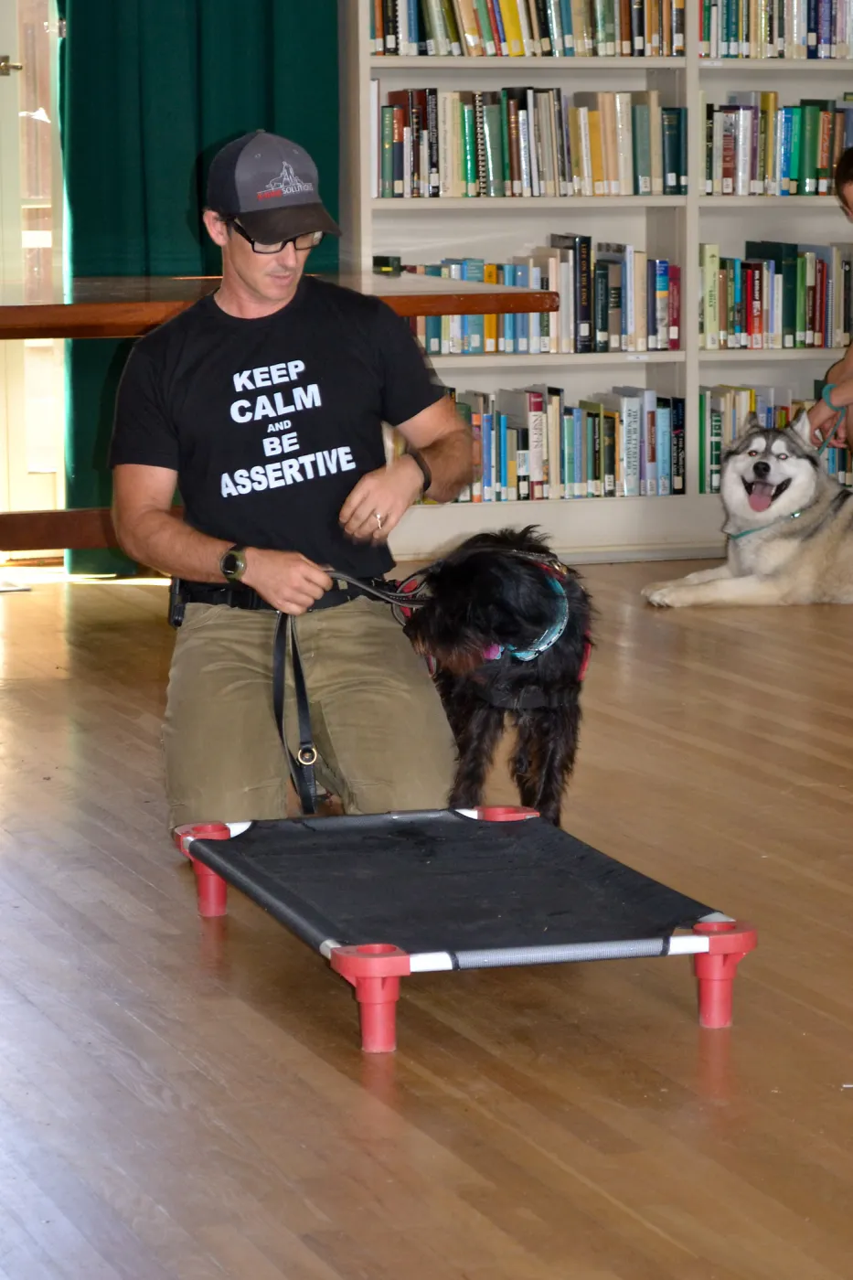 Trails n Tails 2015, dog obedience training demo