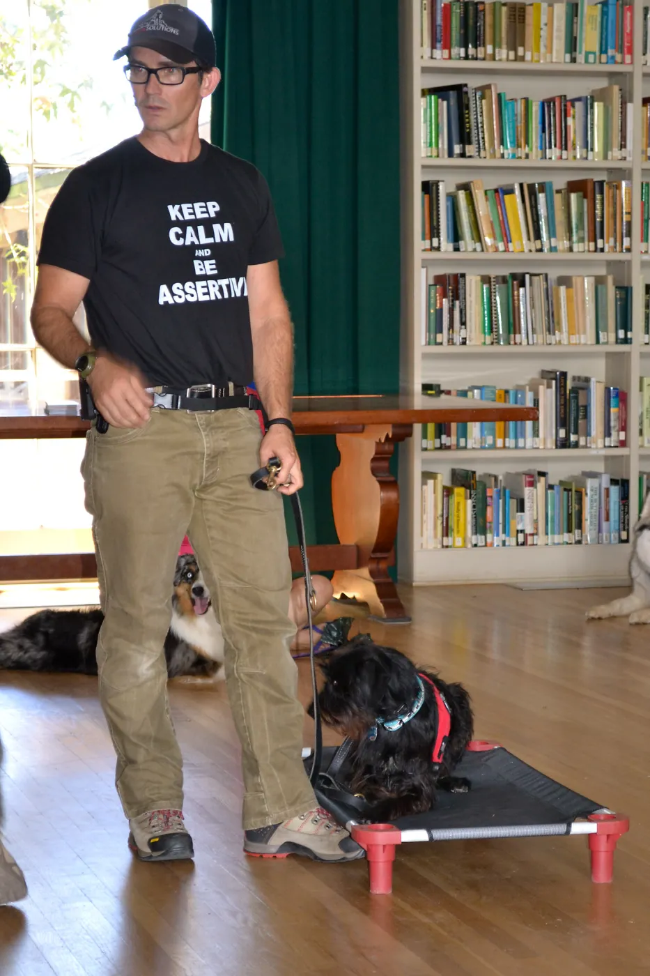 Trails n Tails 2015, dog obedience training demo