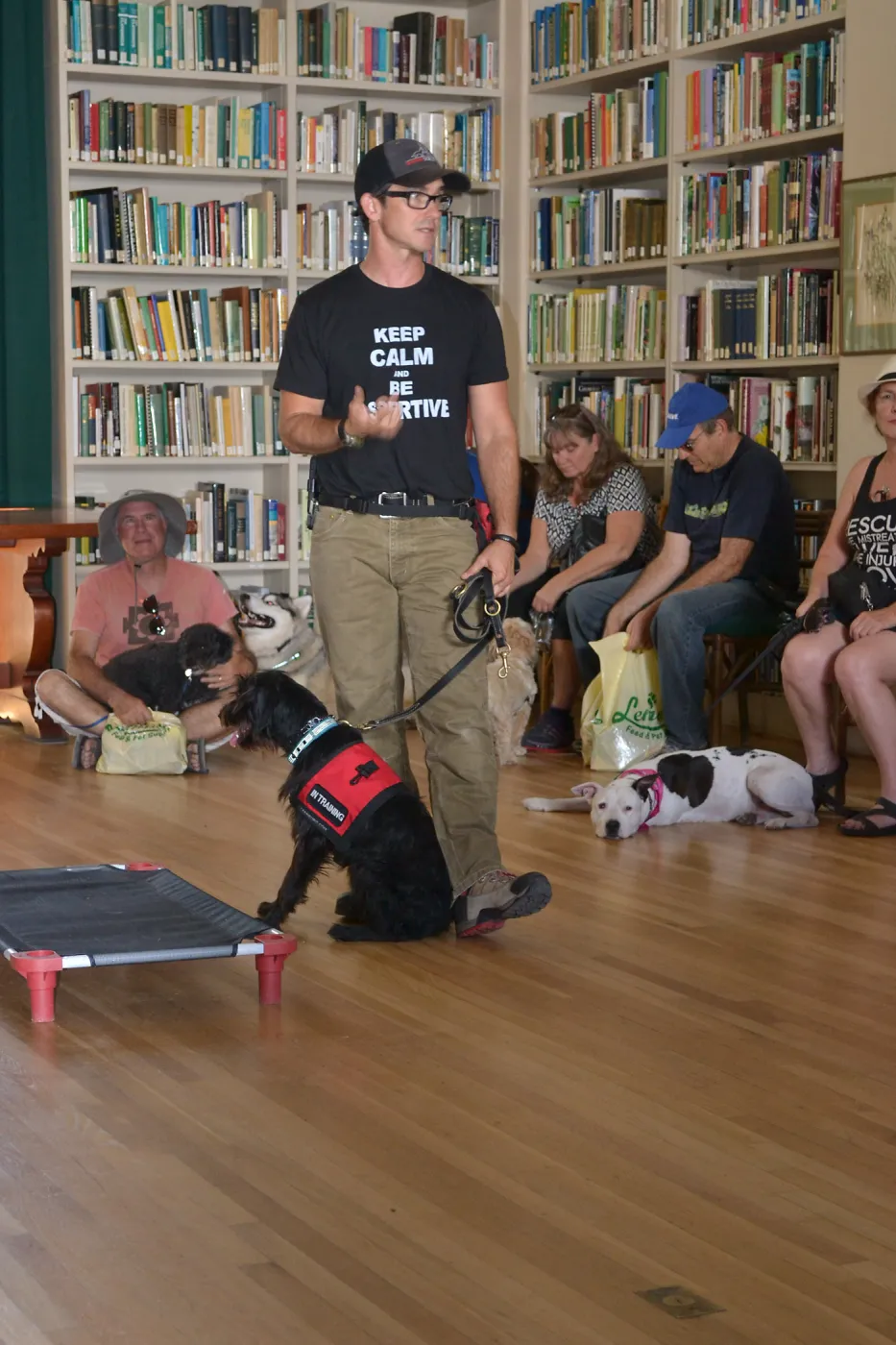 Trails n Tails 2015, dog obedience training demo
