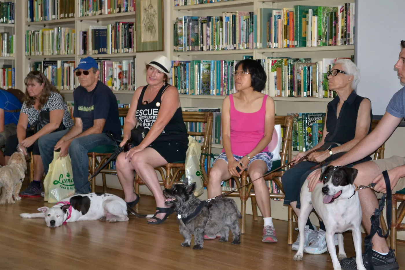 Trails n Tails 2015, dog obedience training demo