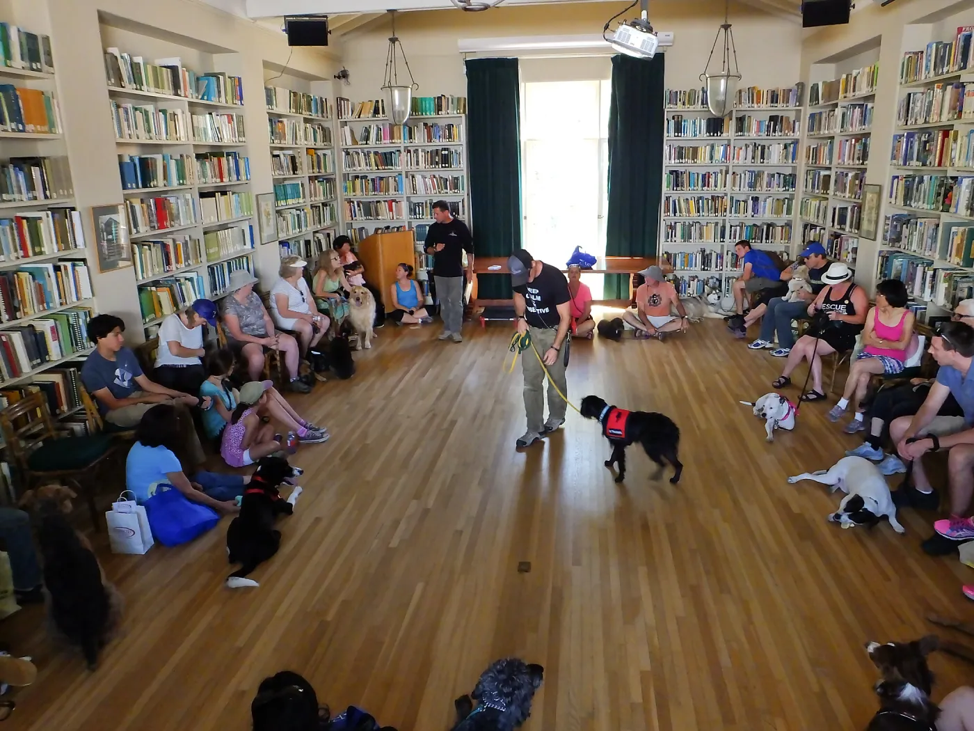 Trails n Tails 2015, dog obedience training demo