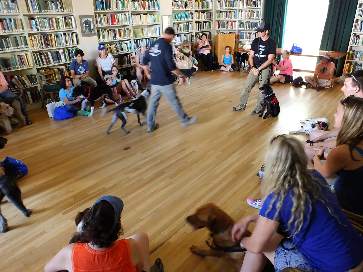 Trails n Tails 2015, dog obedience training demo