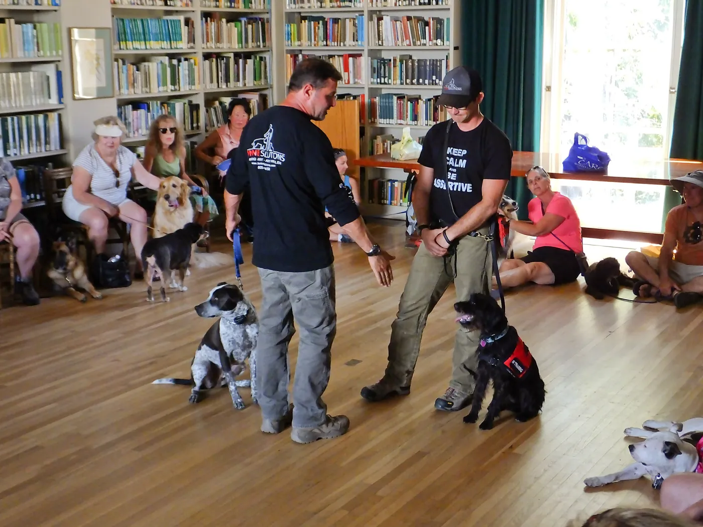 Trails n Tails 2015, dog obedience training demo