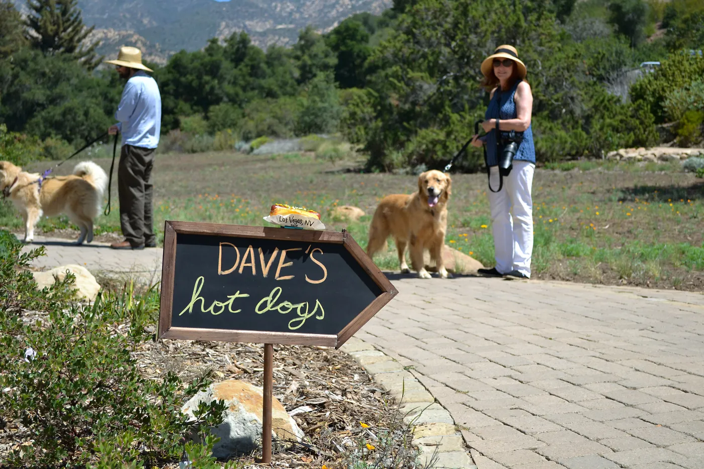 Trails n Tails 2015