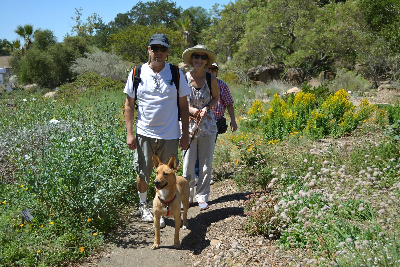 Trails n Tails 2015