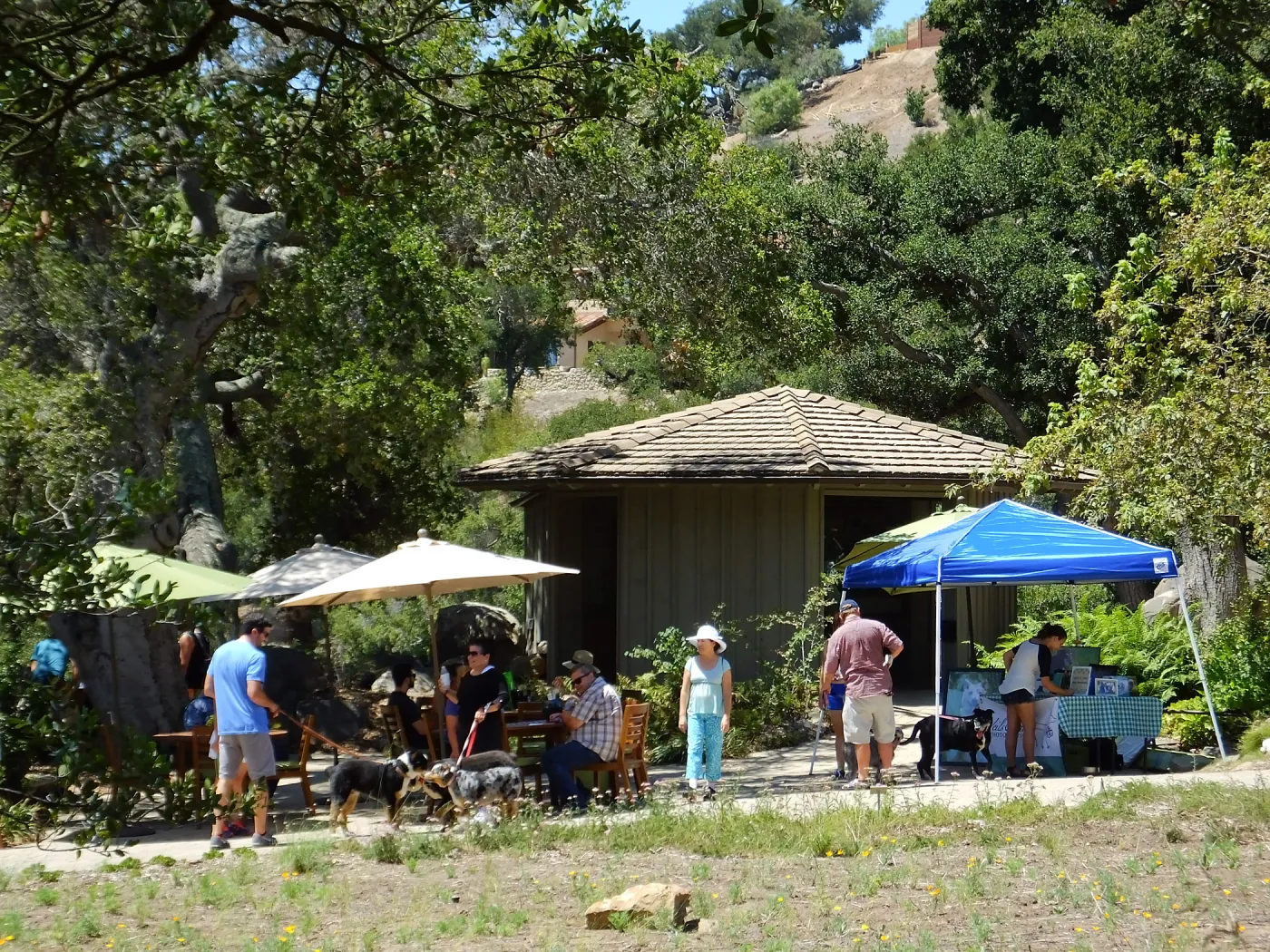 Trails n Tails 2015