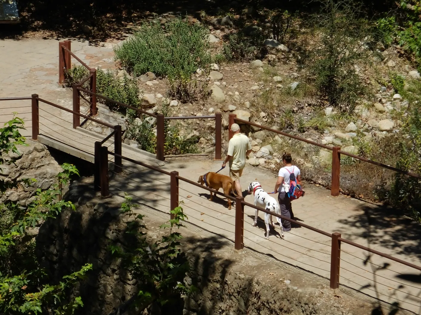 Trails n Tails 2015