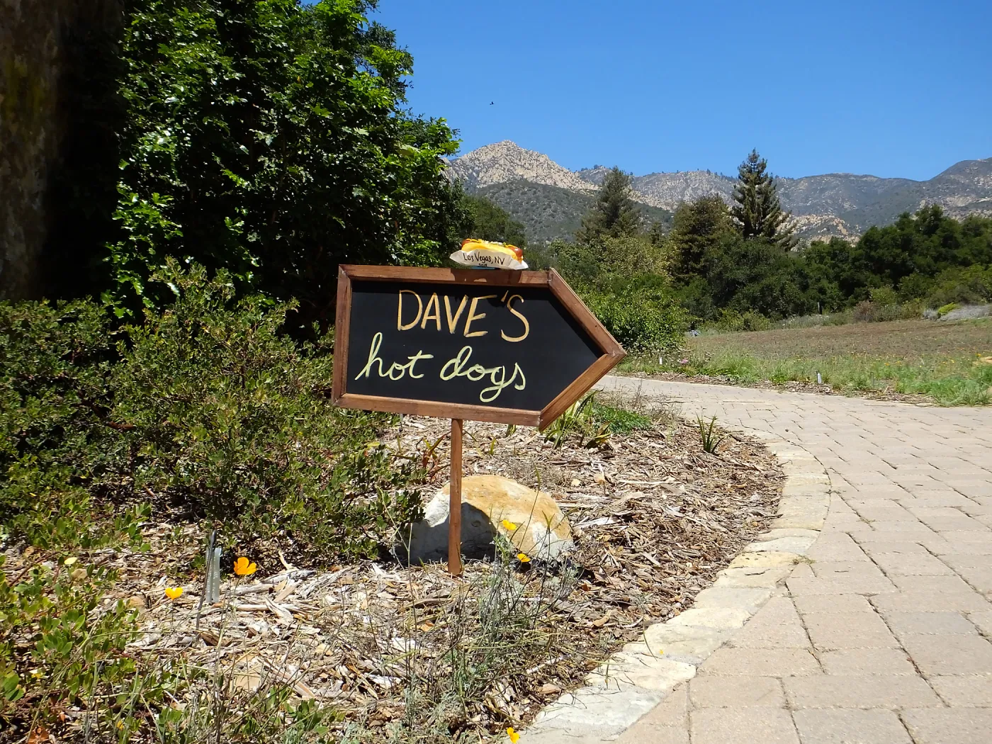 Trails n Tails 2015