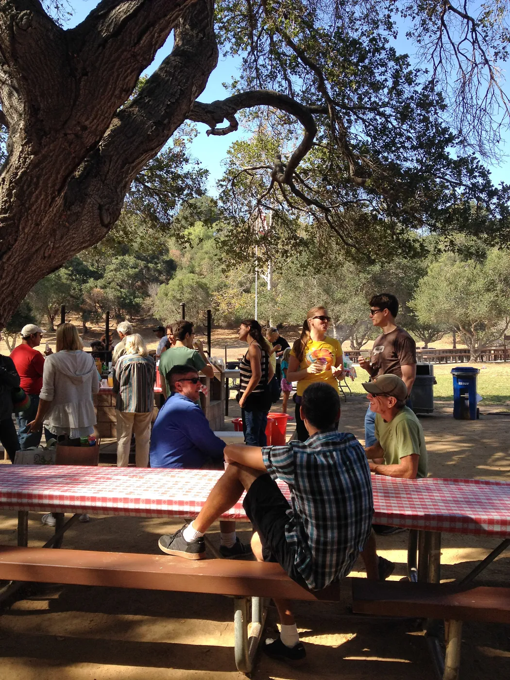 Staff Appreciation Picnic 2015