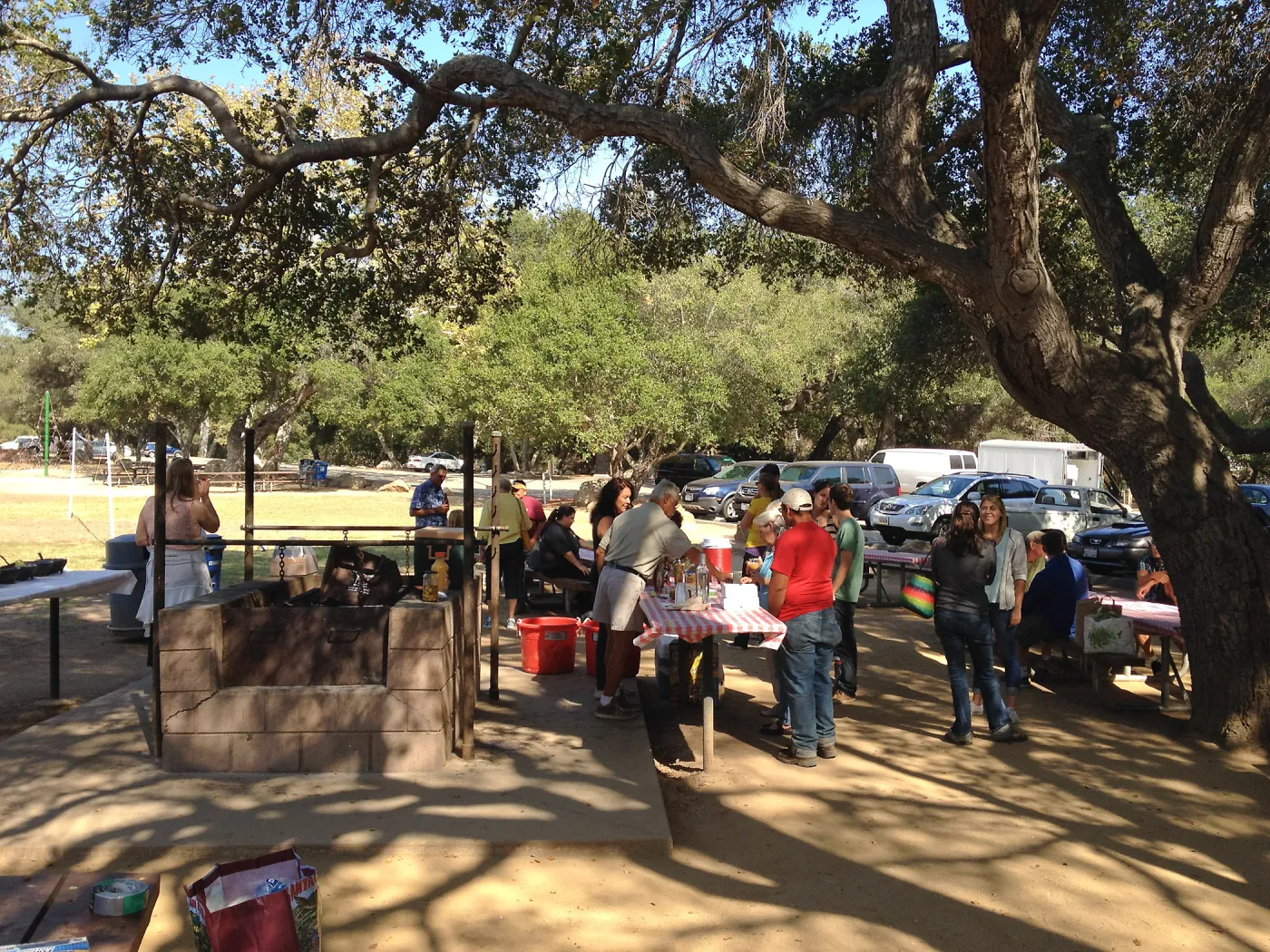 Staff Appreciation Picnic 2015