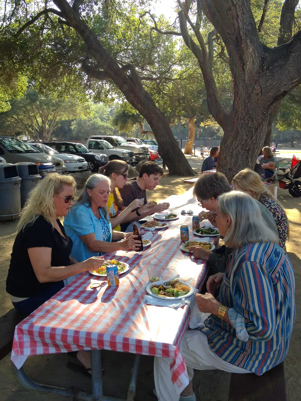 Staff Appreciation Picnic 2015