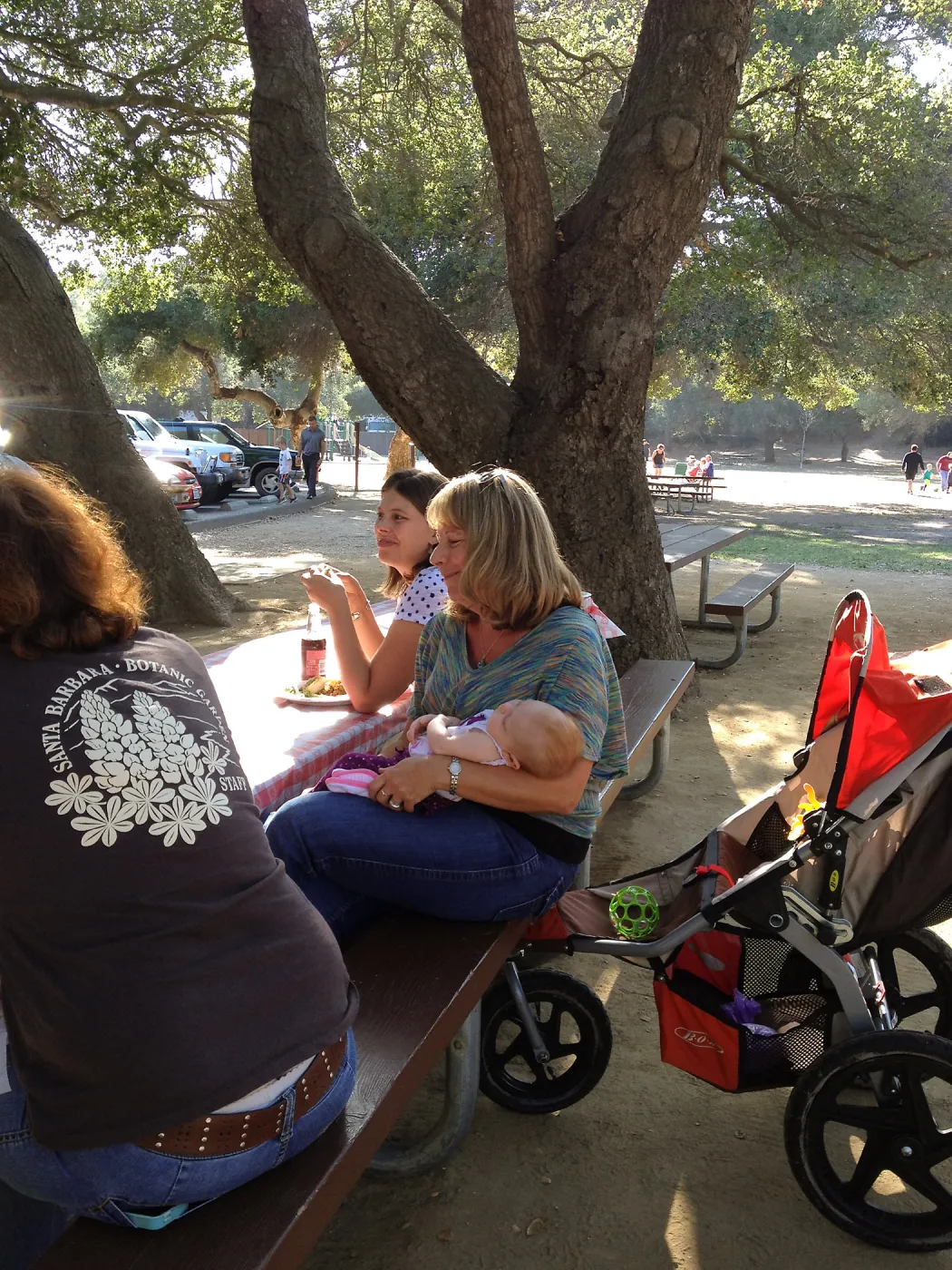 Staff Appreciation Picnic 2015