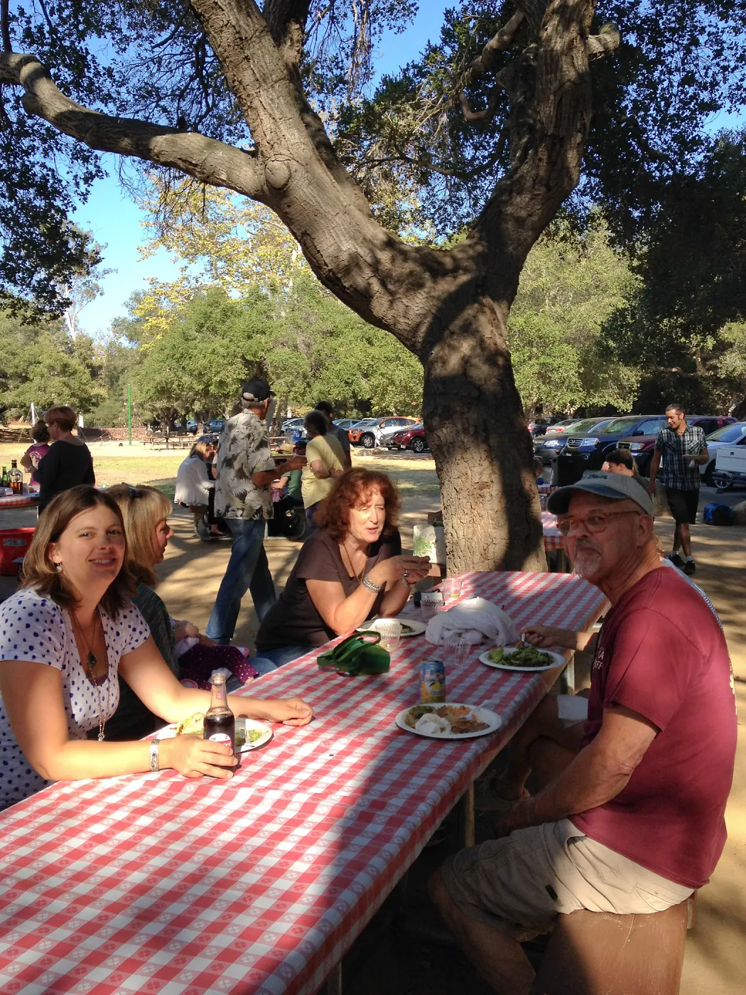 Staff Appreciation Picnic 2015