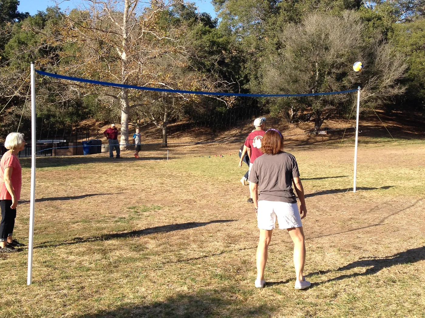 Staff Appreciation Picnic 2015, playing volleyball