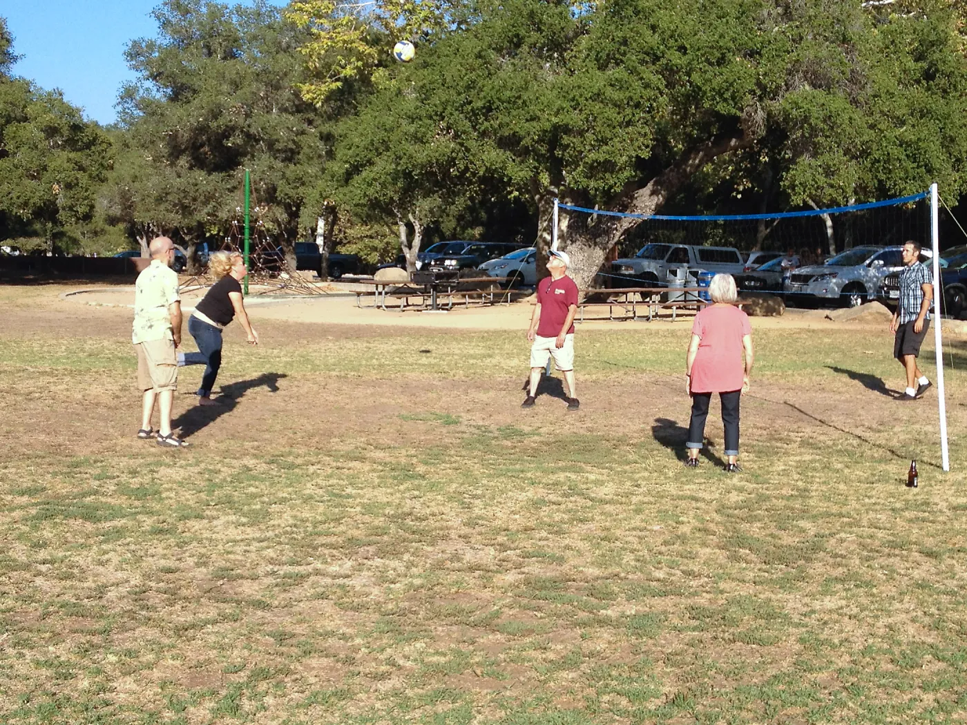 Staff Appreciation Picnic 2015, playing volleyball