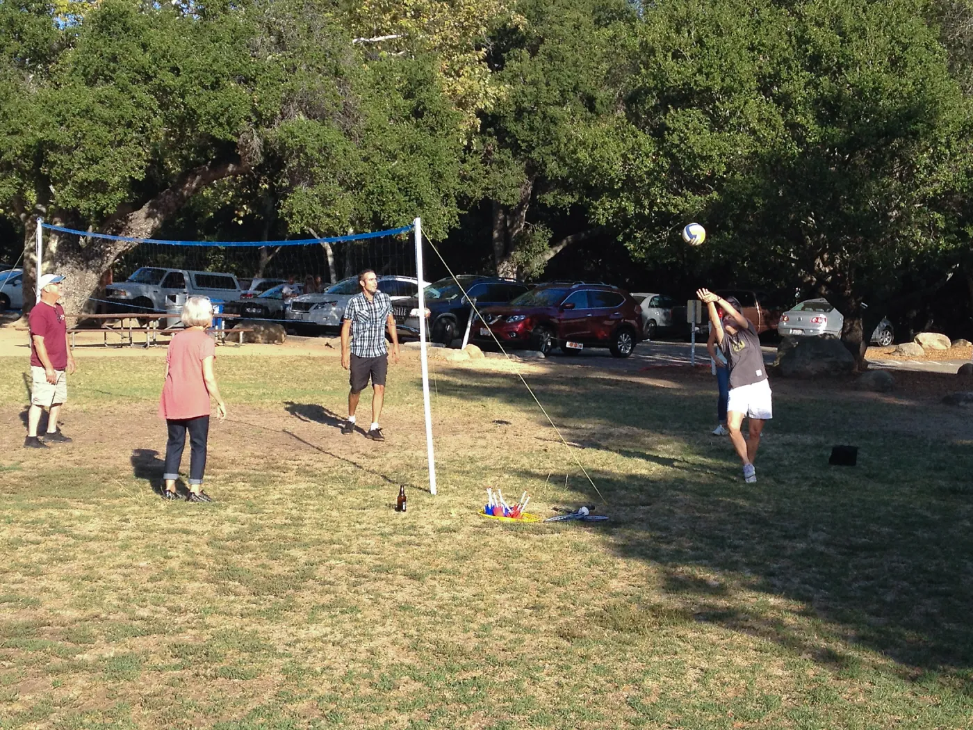 Staff Appreciation Picnic 2015, playing volleyball