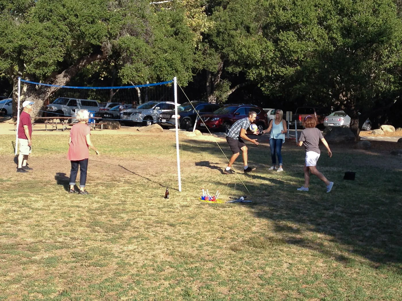 Staff Appreciation Picnic 2015, playing volleyball
