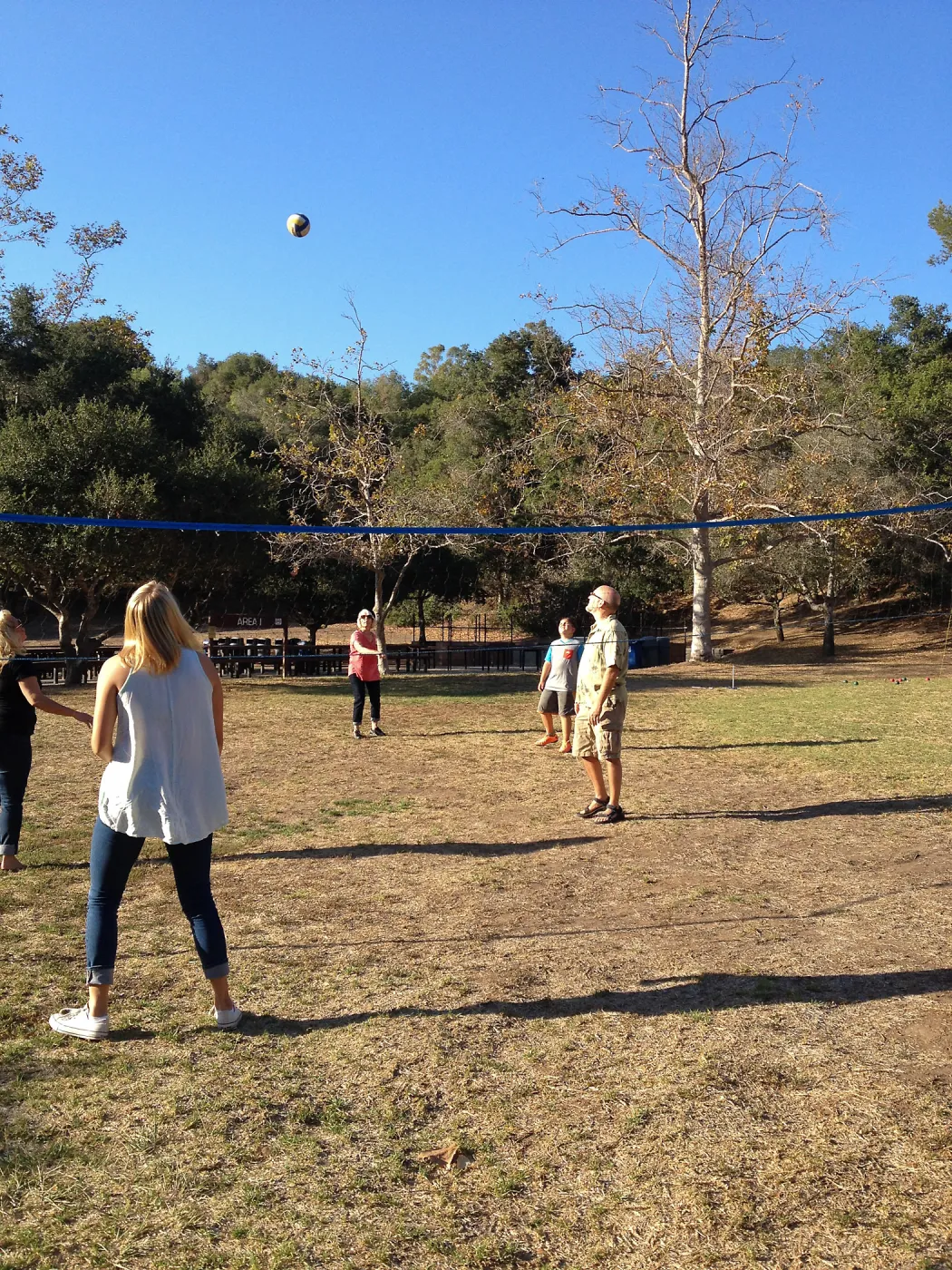 Staff Appreciation Picnic 2015, playing volleyball