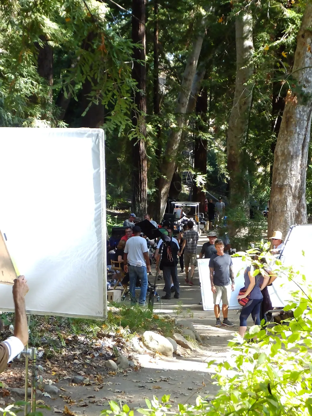 Sunsweet® Commercial Shoot