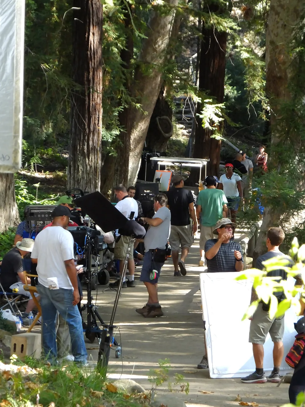 Sunsweet® Commercial Shoot
