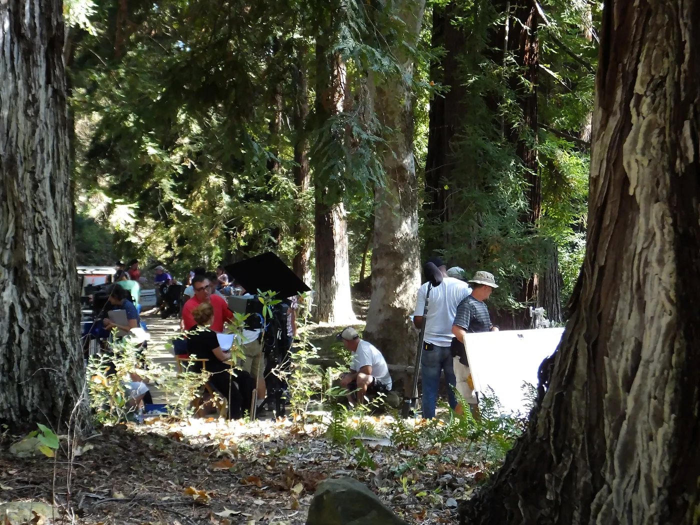 Sunsweet® Commercial Shoot