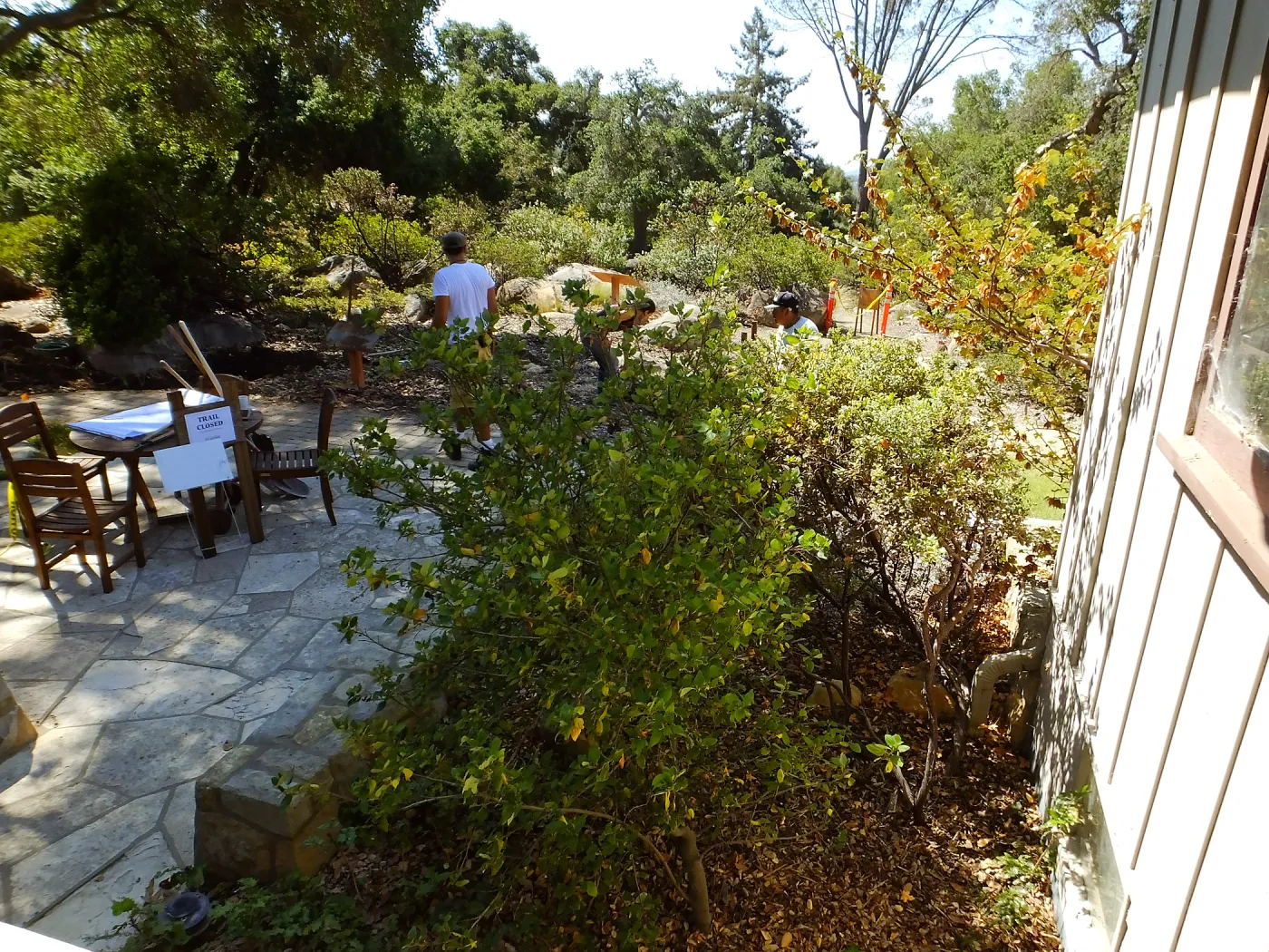 Home Demonstration Garden Renovation, view 18, looking south from south entrance of Cottage, first day of demolition work