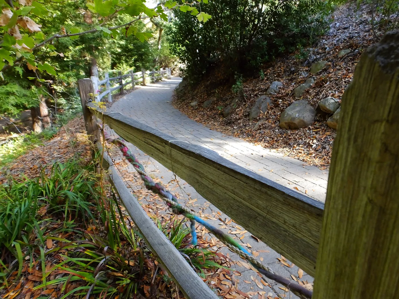 Dormant Dreams Yarn Blast, Redwoods Yarn Walk