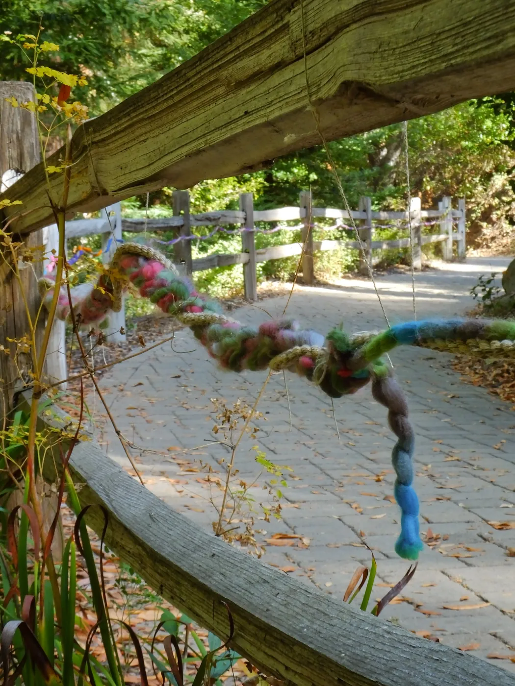Dormant Dreams Yarn Blast, Redwoods Yarn Walk