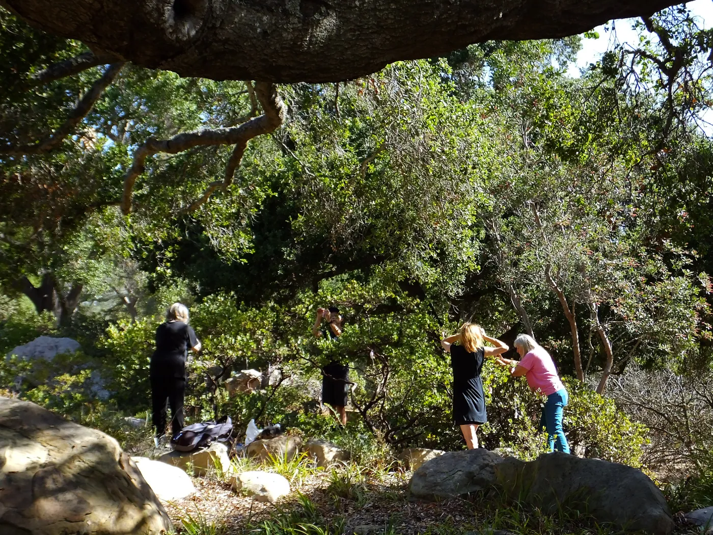 Dormant Dreams Yarn Blast, Off-Season Manzanita Blossom Installation