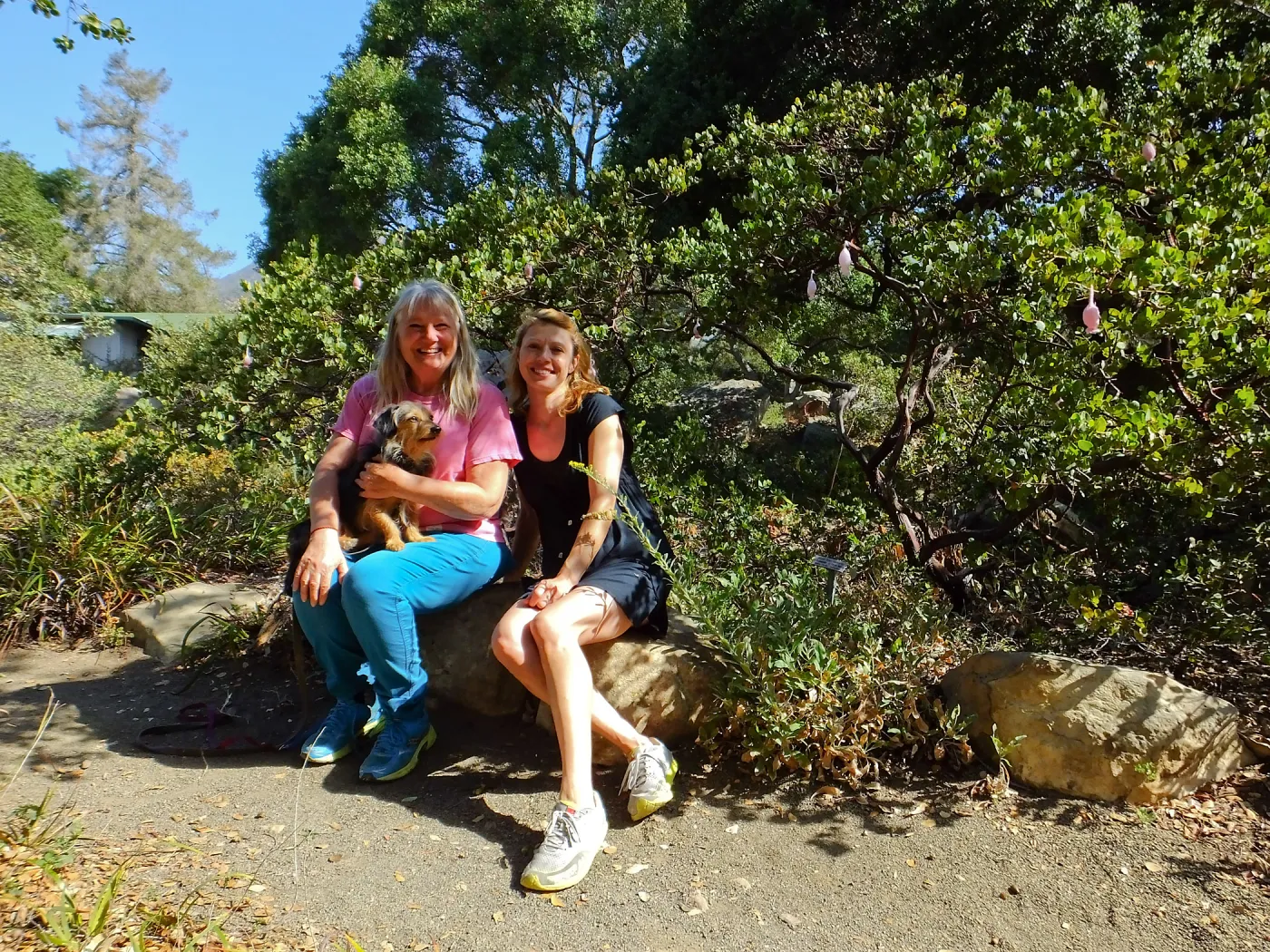 Dormant Dreams Yarn Blast, Off-Season Manzanita Blossom Installation