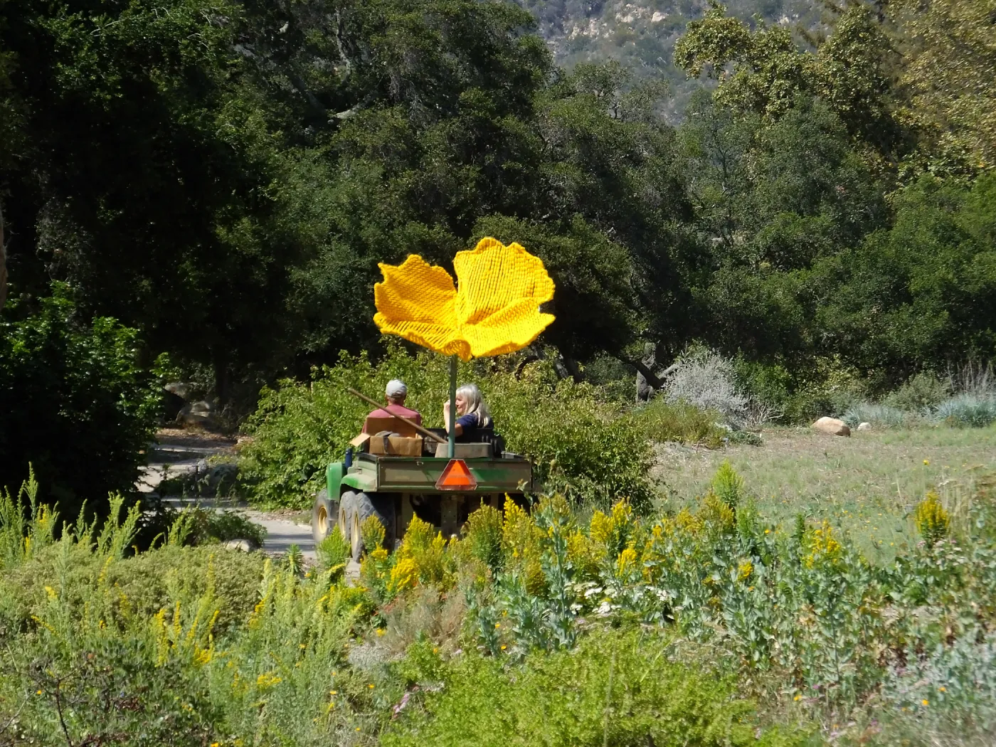 Dormant Dreams Yarn Blast, Giant California Poppy Installation
