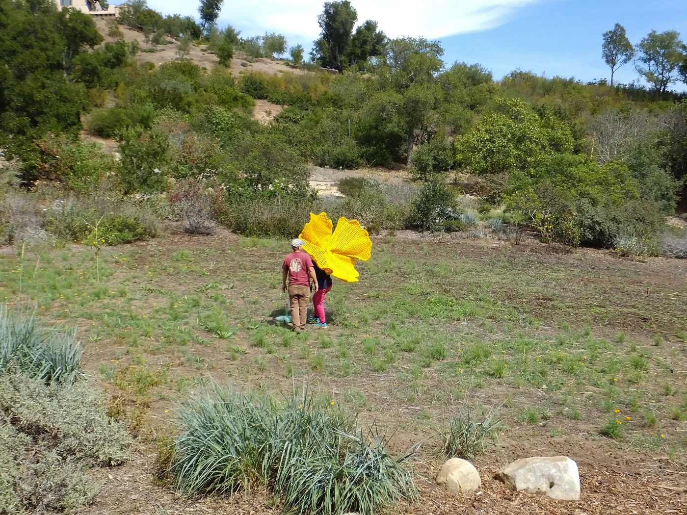 Dormant Dreams Yarn Blast, Giant California Poppy Installation