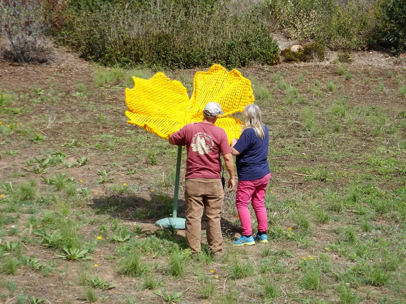 Dormant Dreams Yarn Blast, Giant California Poppy Installation
