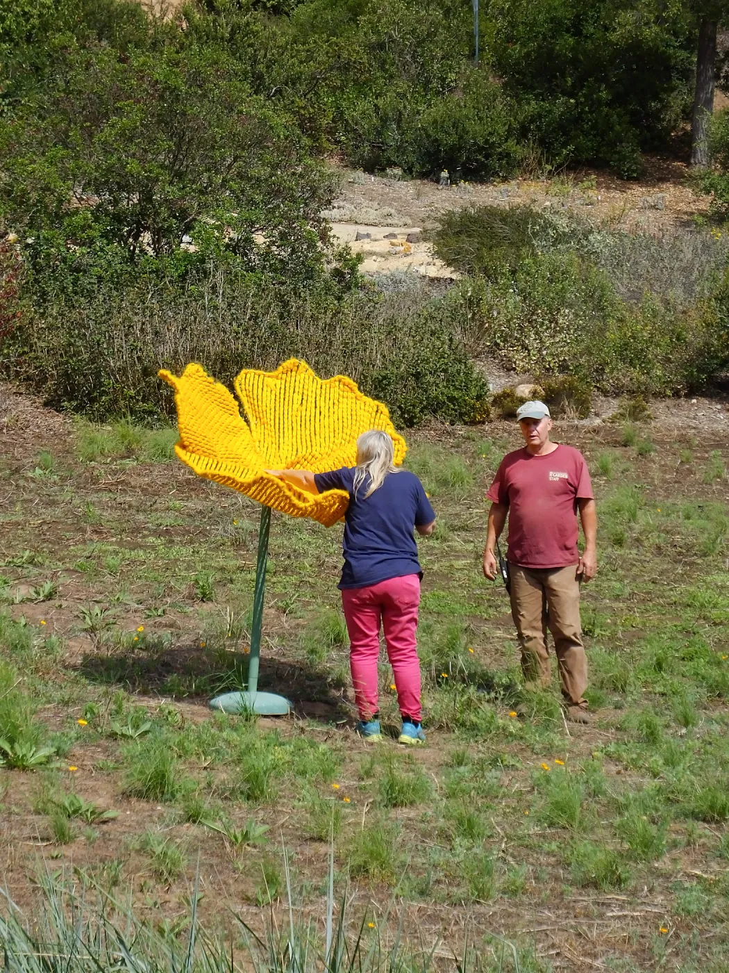 Dormant Dreams Yarn Blast, Giant California Poppy Installation