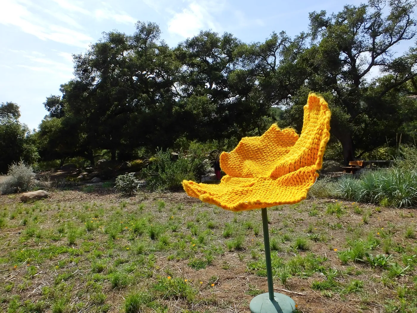Dormant Dreams Yarn Blast, Giant California Poppy