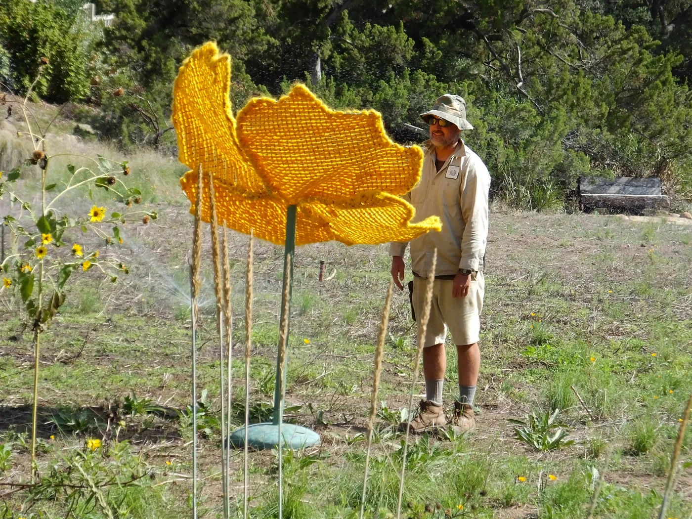 Dormant Dreams Yarn Blast, Giant California Poppy