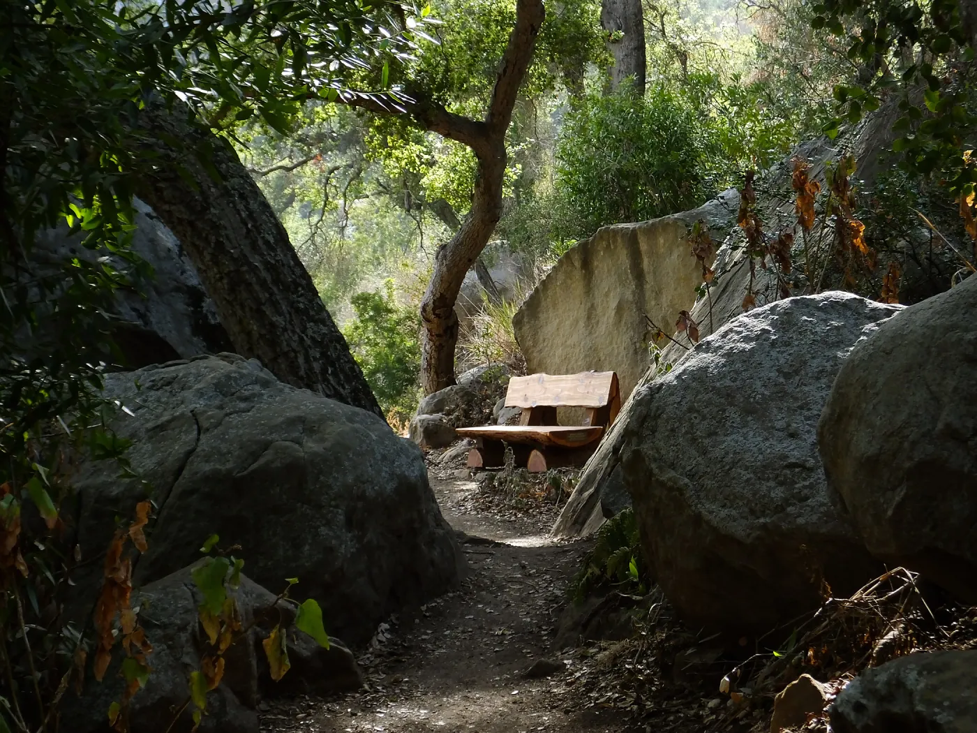 Anna's Bench, Pritchett Trail, shortly after installation
