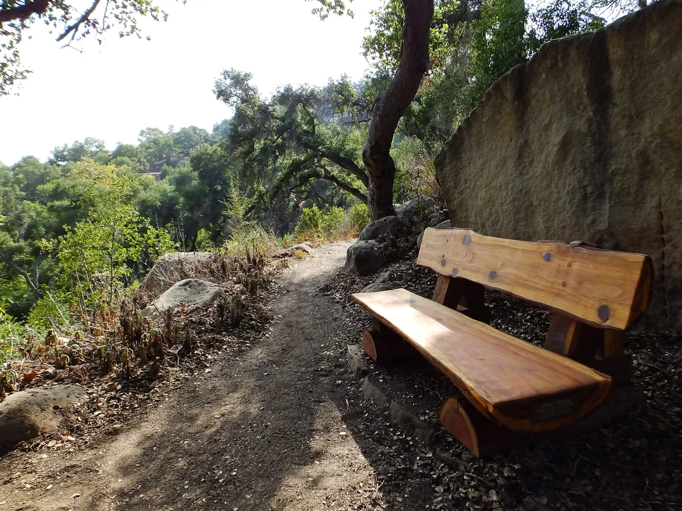 Anna's Bench, Pritchett Trail, shortly after installation