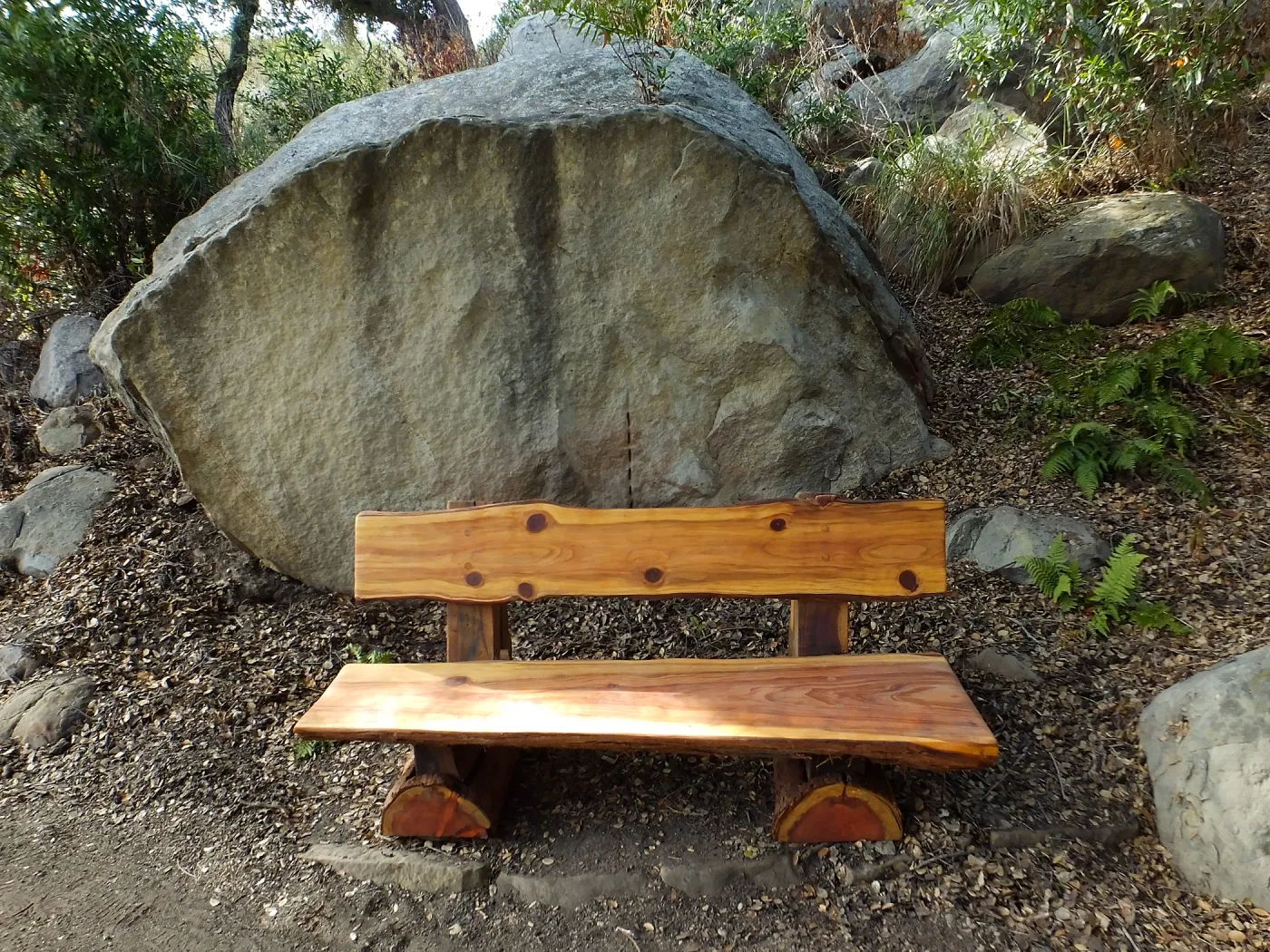 Anna's Bench, Pritchett Trail, shortly after installation