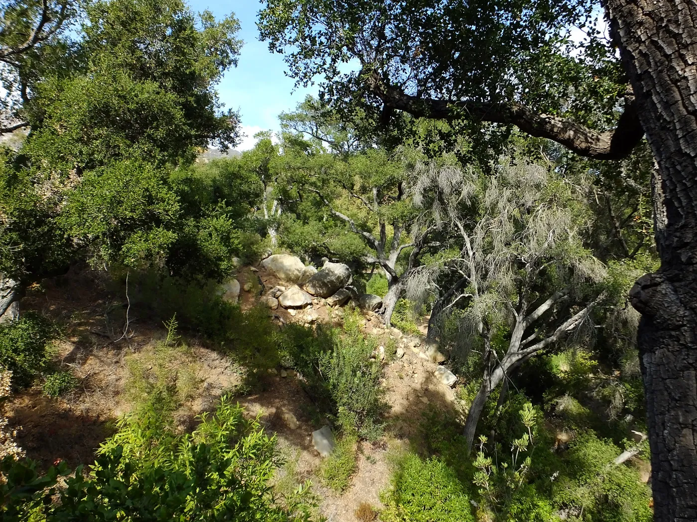 View from Pritchett Trail
