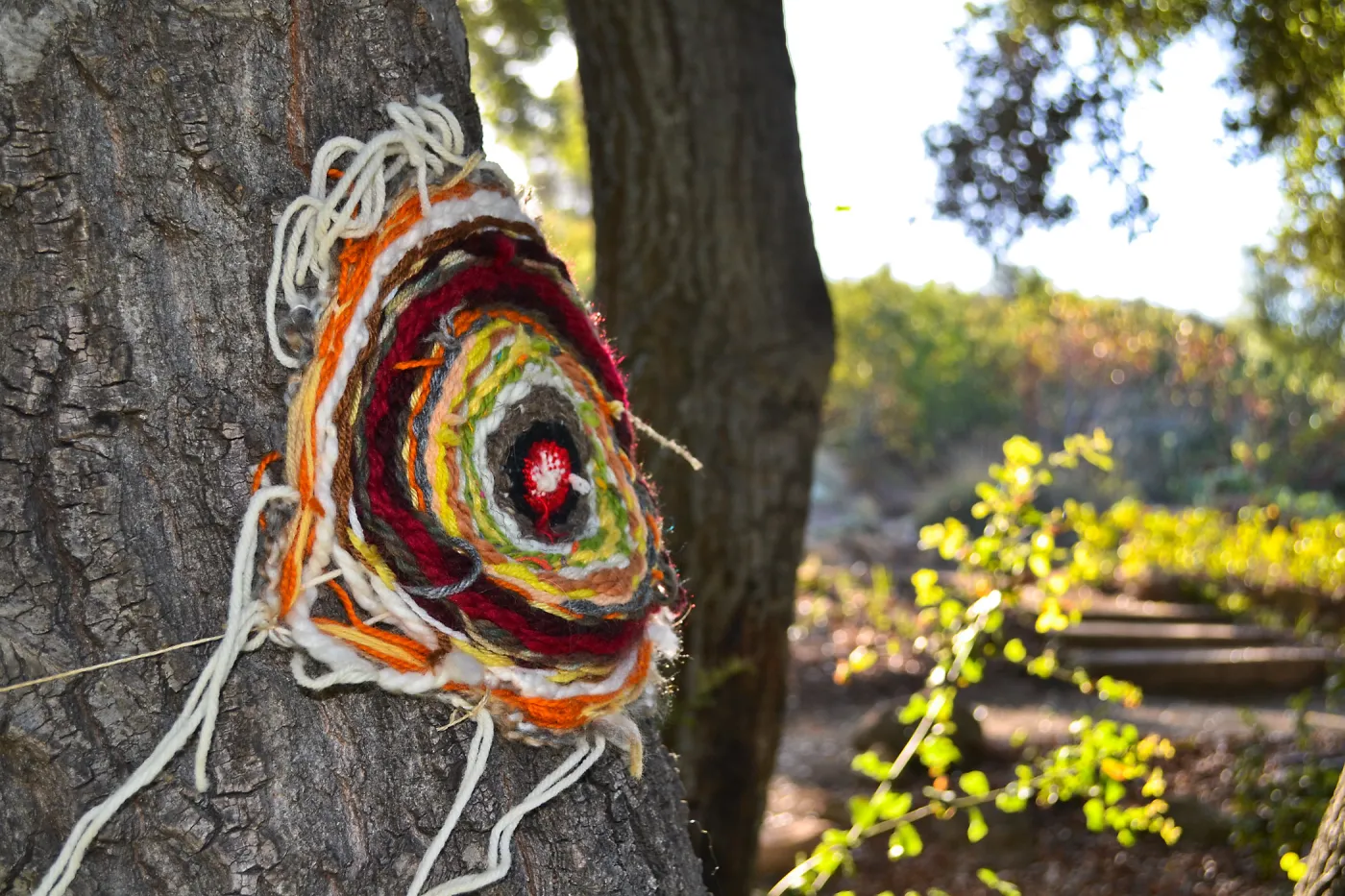 Dormant Dreams Yarn Blast, Coast Oak Circles