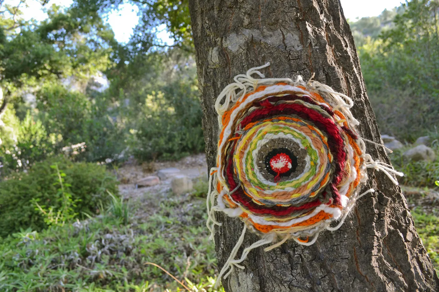 Dormant Dreams Yarn Blast, Coast Oak Circles